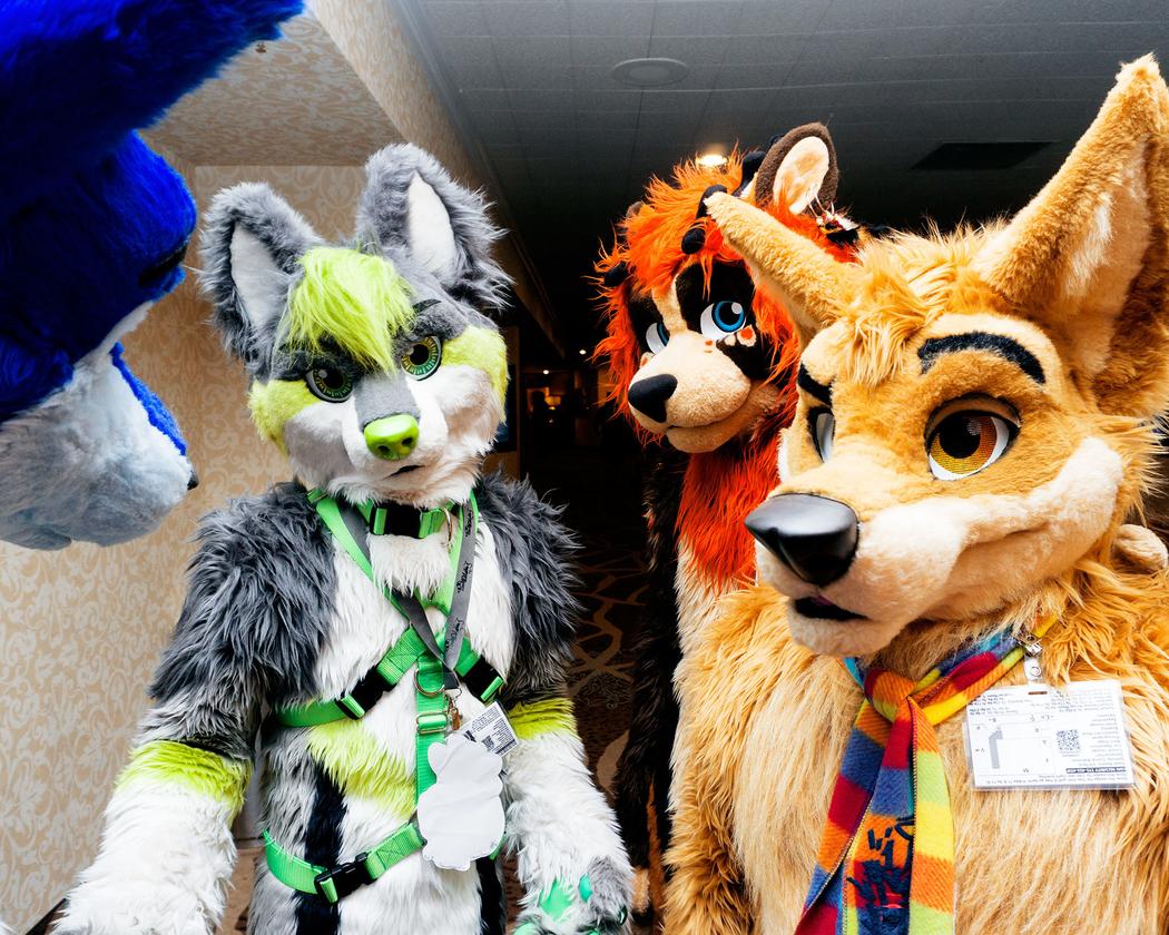 Who Makes Those Intricate, Expensive Furry Suits?