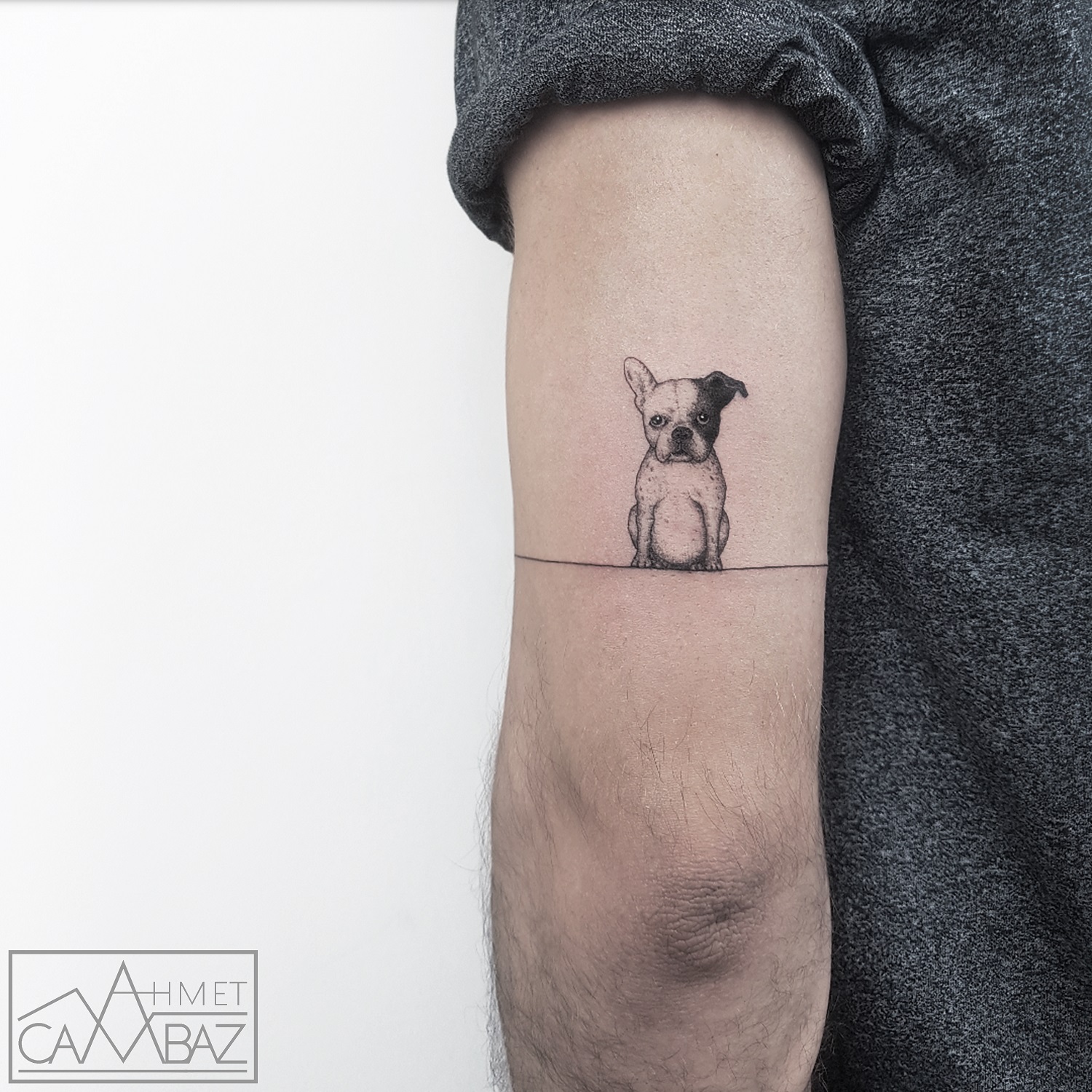 Single needle French bulldog tattoo on the inner arm