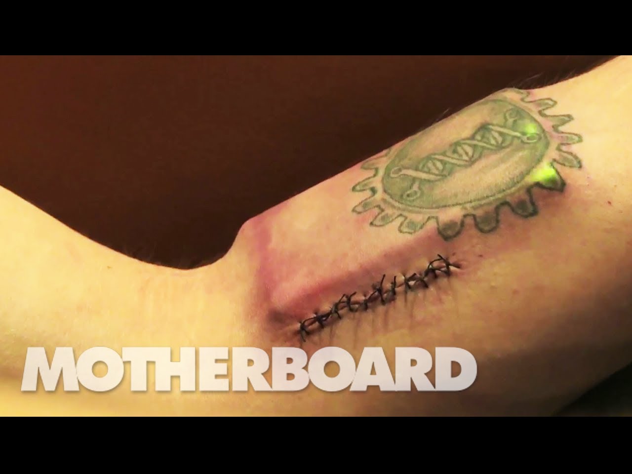 бессмертие чипы