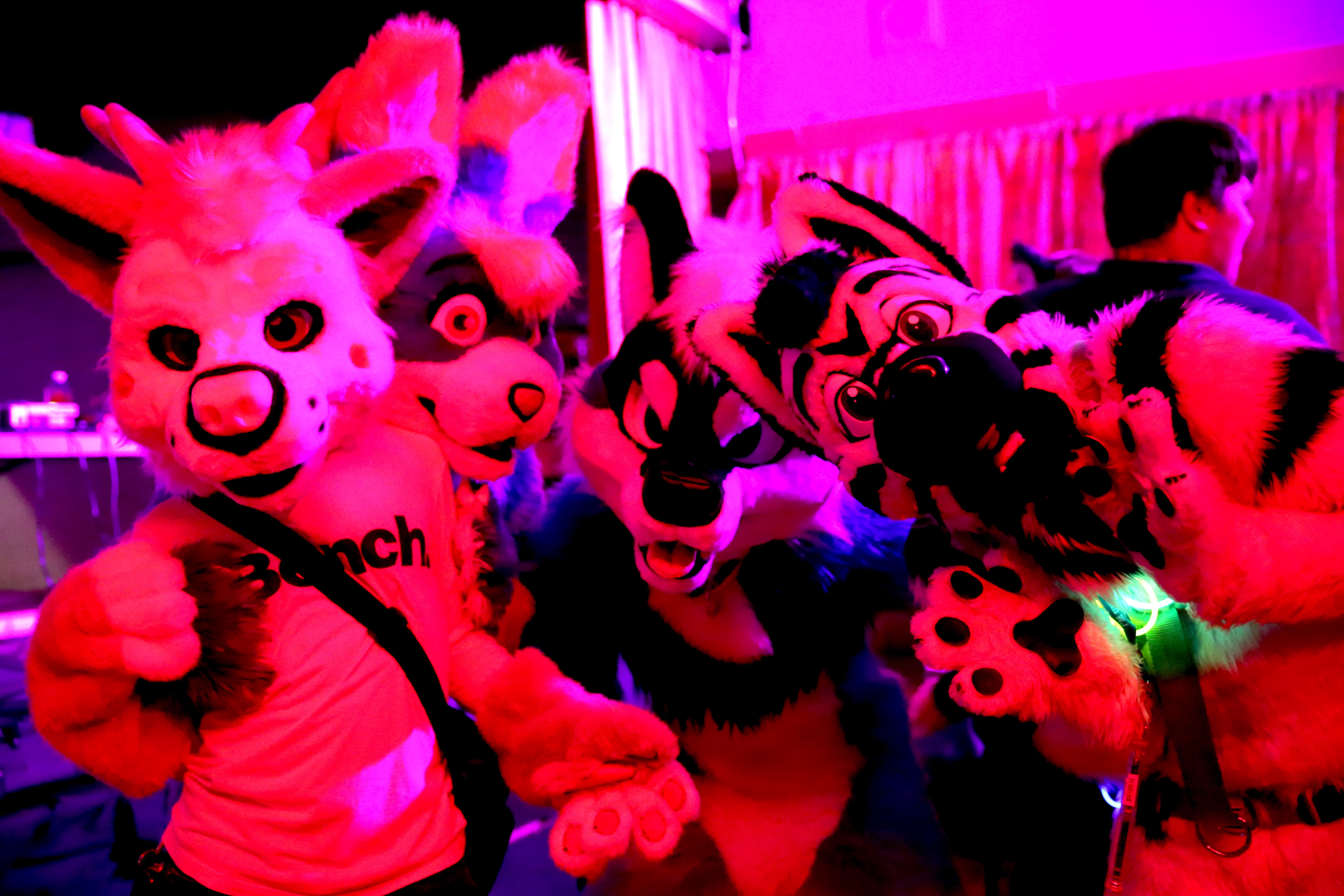 Inside Toronto's Biggest Underground Furry Party