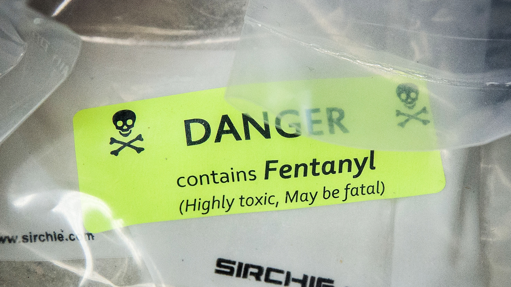 This Fentanyl Test Could Save Lives if America Would Just Embrace It - VICE