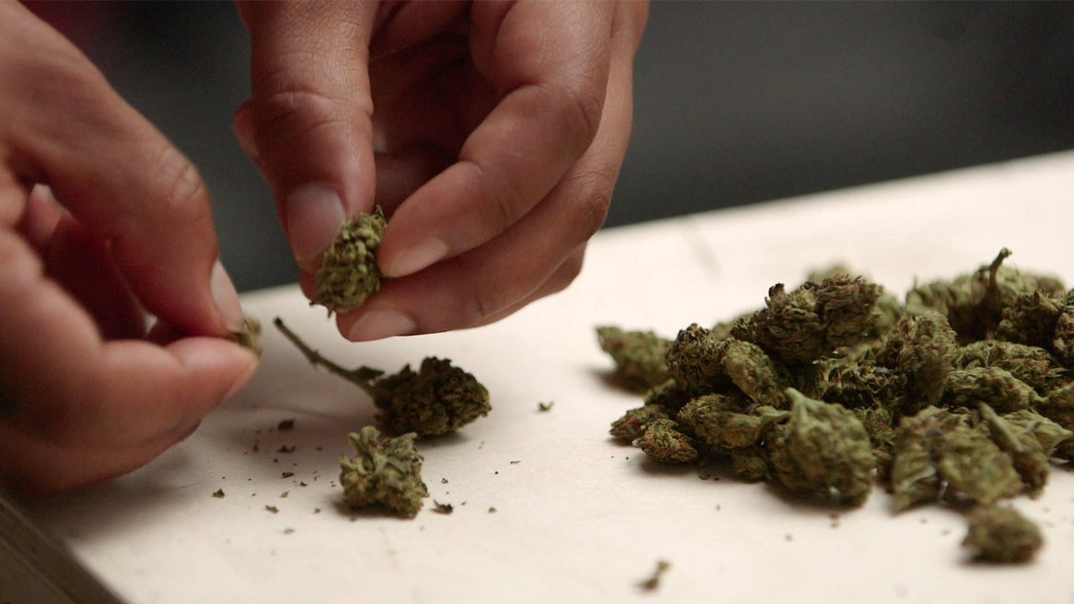 how-to-treat-weed-dealers-according-to-a-weed-dealer-vice