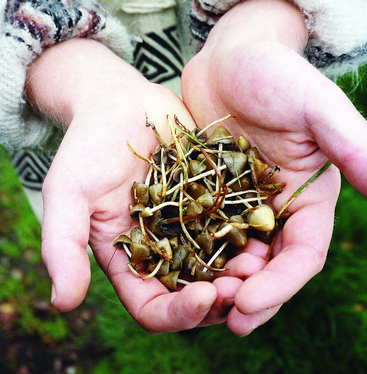 Hur psilocybin kan hjälpa mot dödsångest