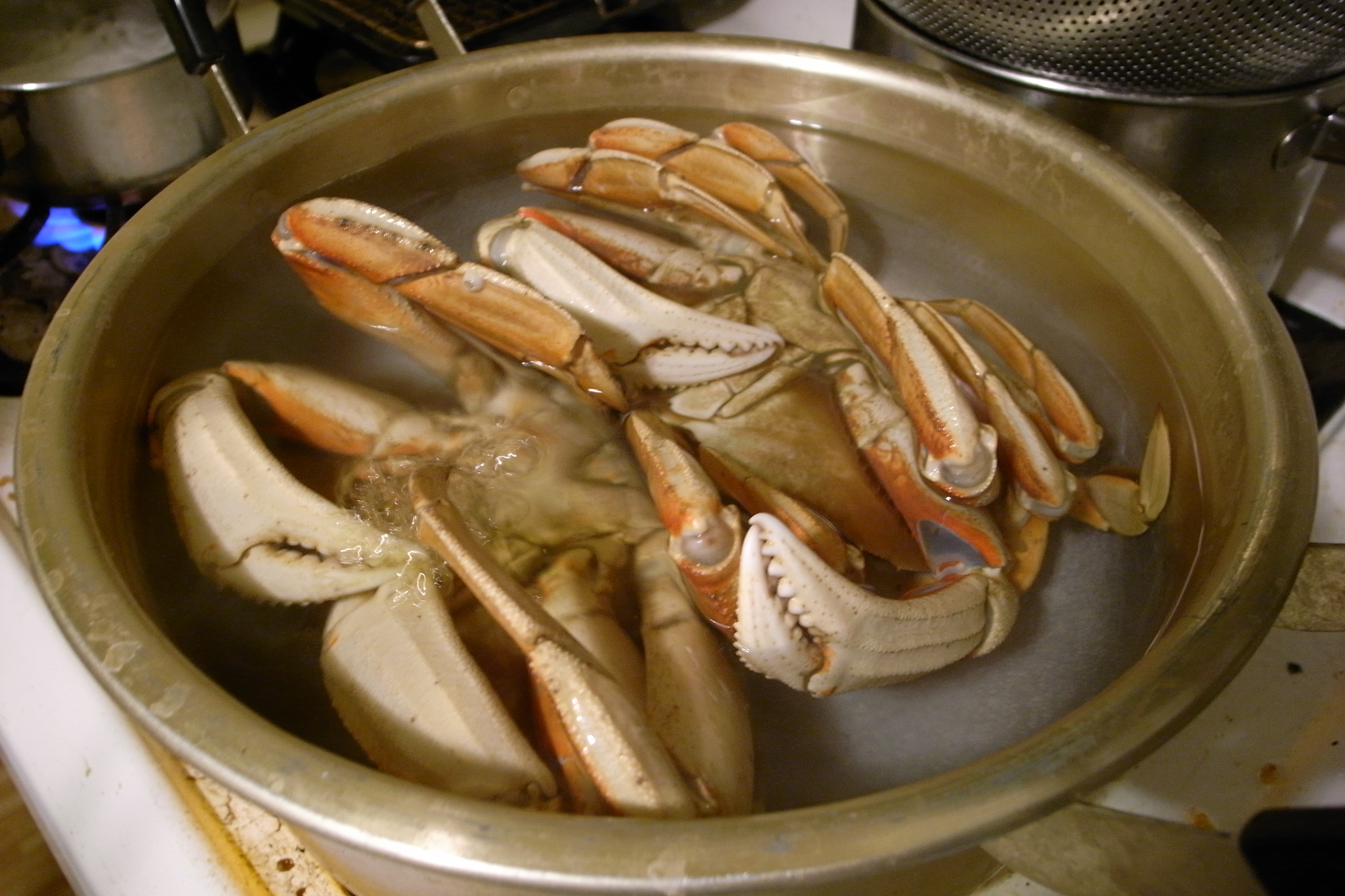 Watch This Horrifying Video of a Crab Eating Herbs While Being Cooked Alive