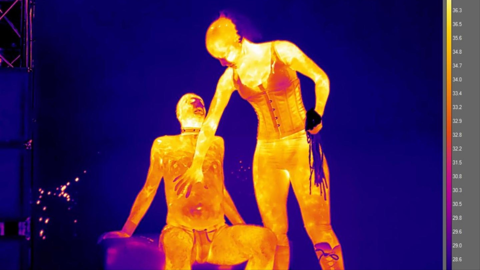 German Live Sex Stage Shows - We Photographed a Porn Convention with a Thermal Camera - VICE