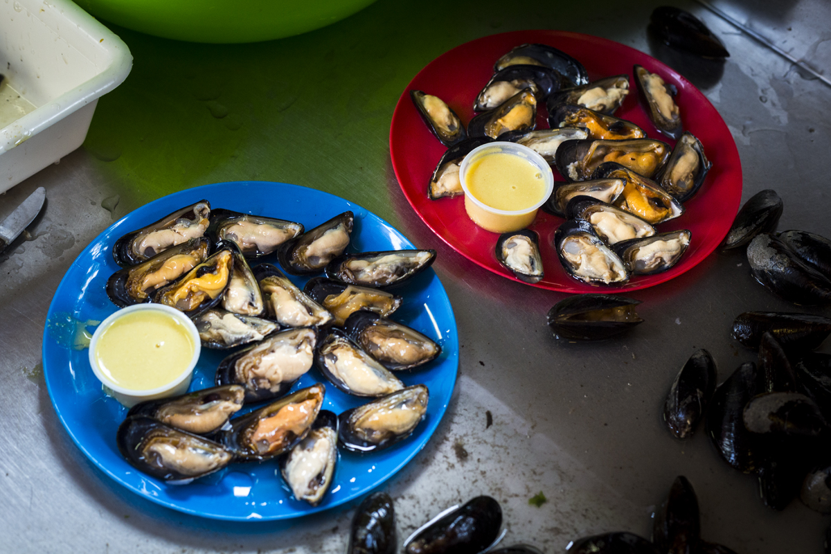 Avec les vendeurs de moules crues de Bruxelles