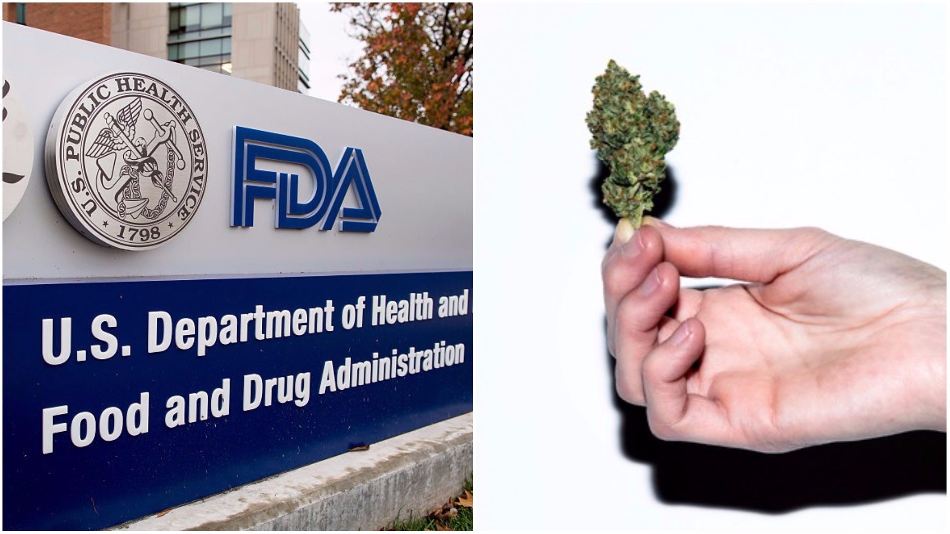 The FDA Called Out Four Marijuana Companies For Claiming Their Products ...