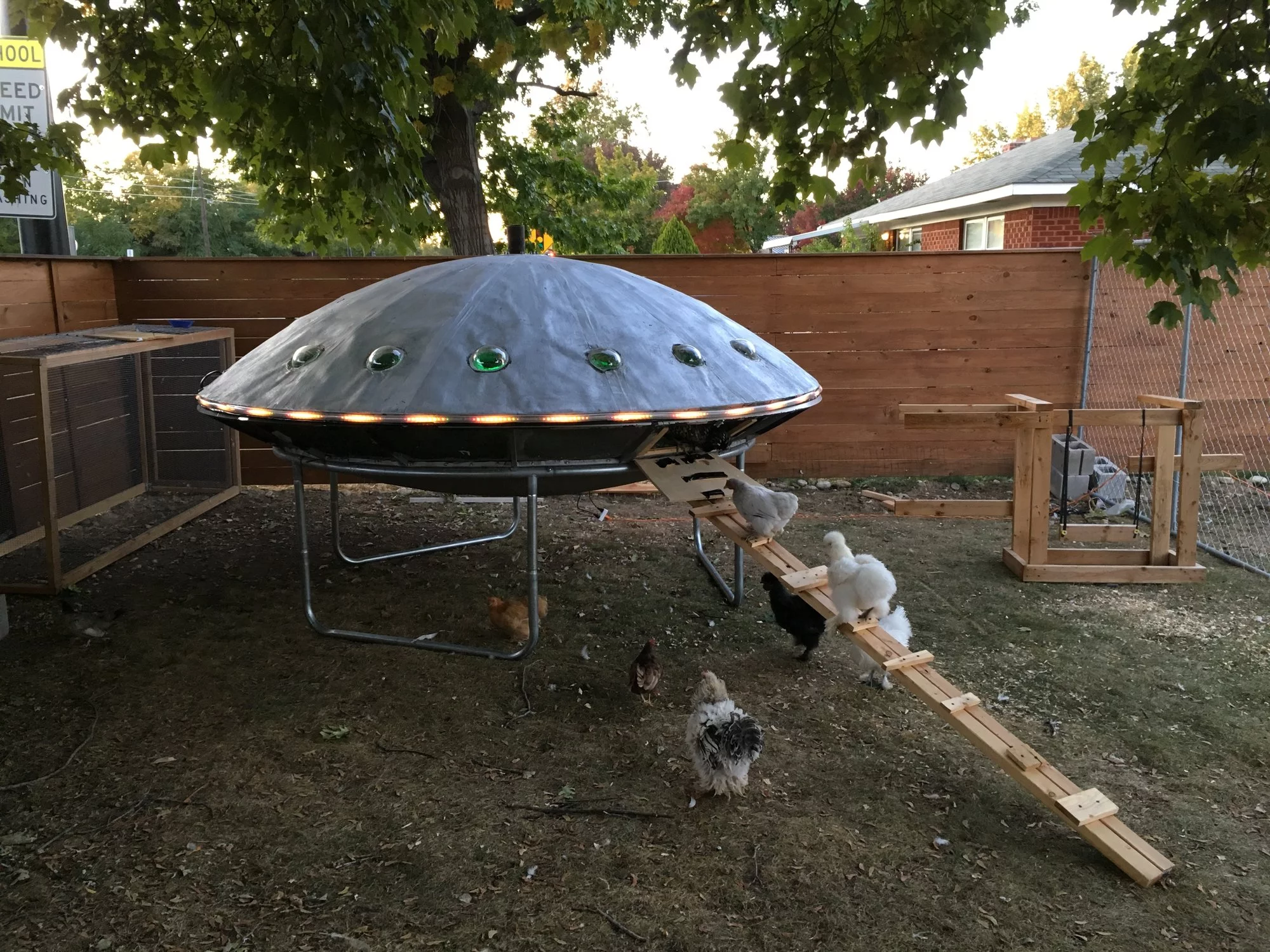 Alien-Obsessed Idaho Couple Builds UFO-Shaped Chicken Coop