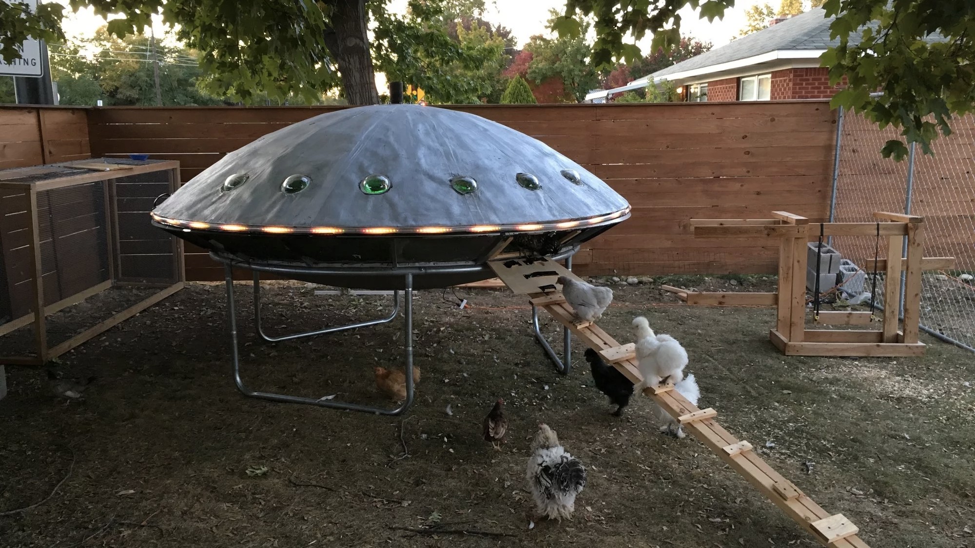 Alien Obsessed Idaho Couple Builds Ufo Shaped Chicken Coop Vice