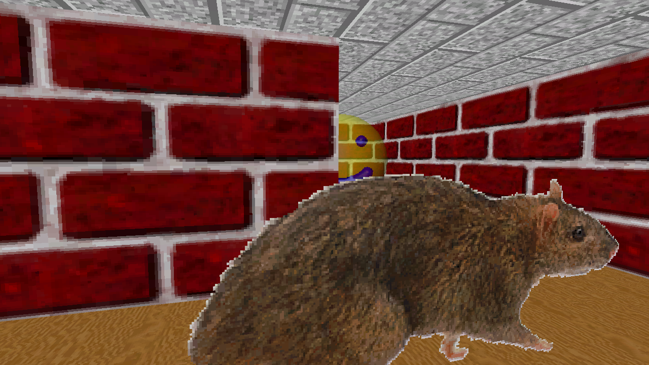 3d maze screensaver rat