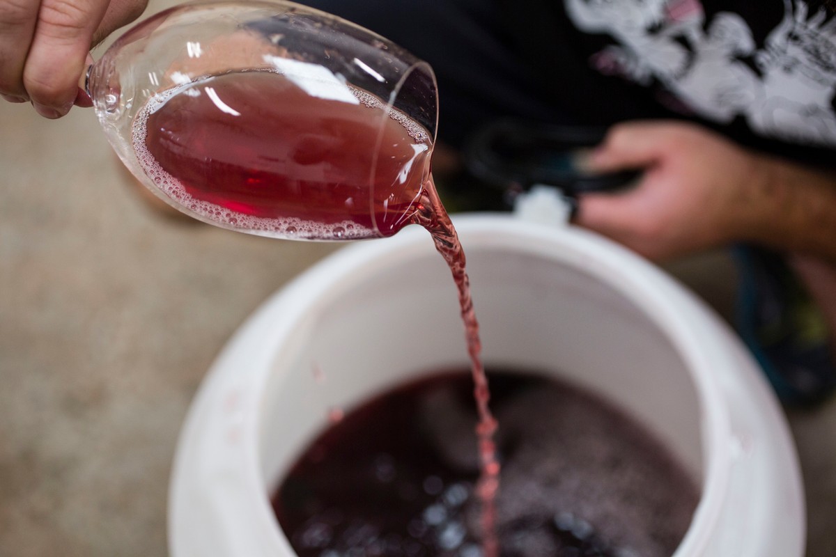 Wine Backwash Is Being Made into Hard Liquor MUNCHIES