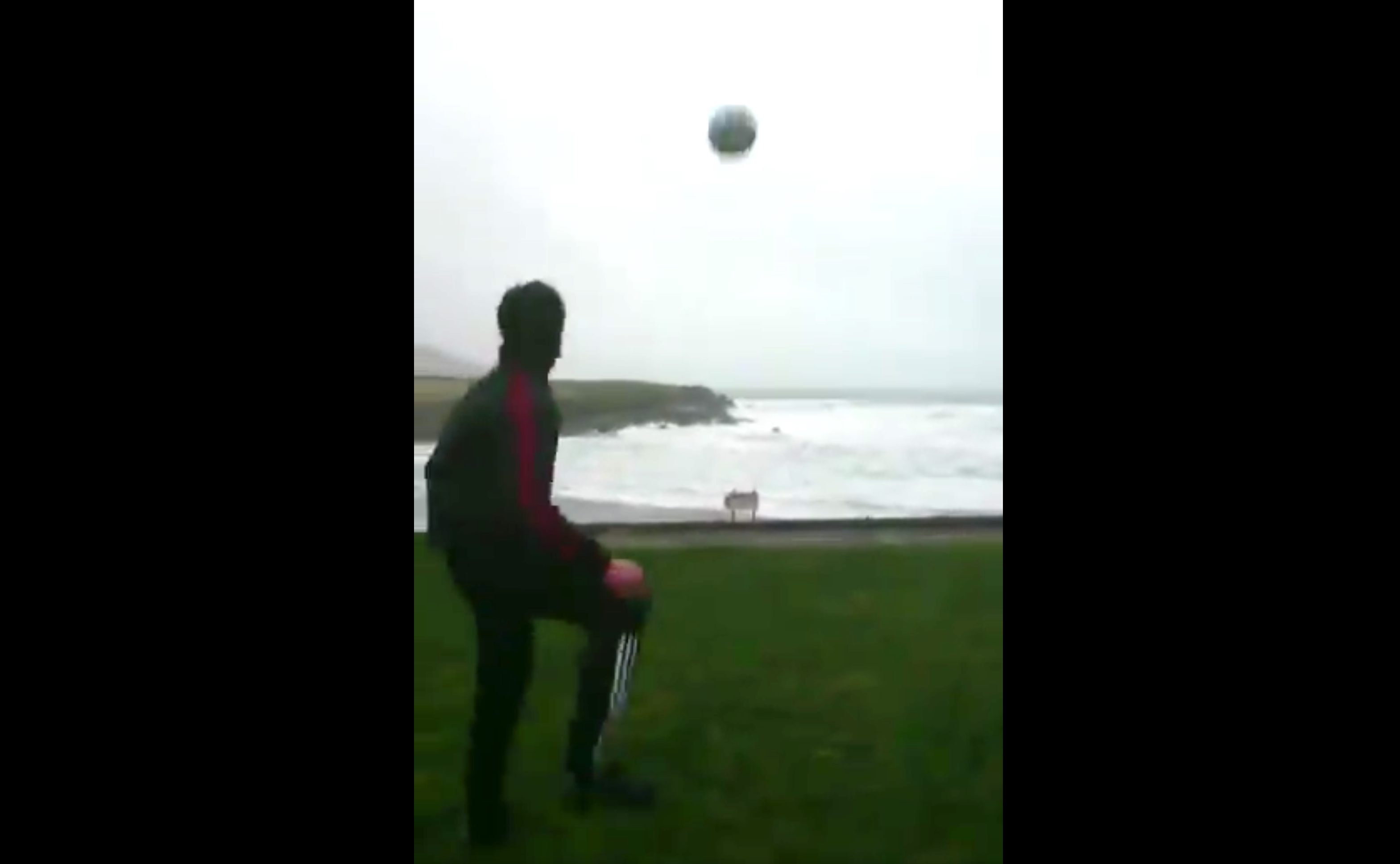 Ball Kicking Video