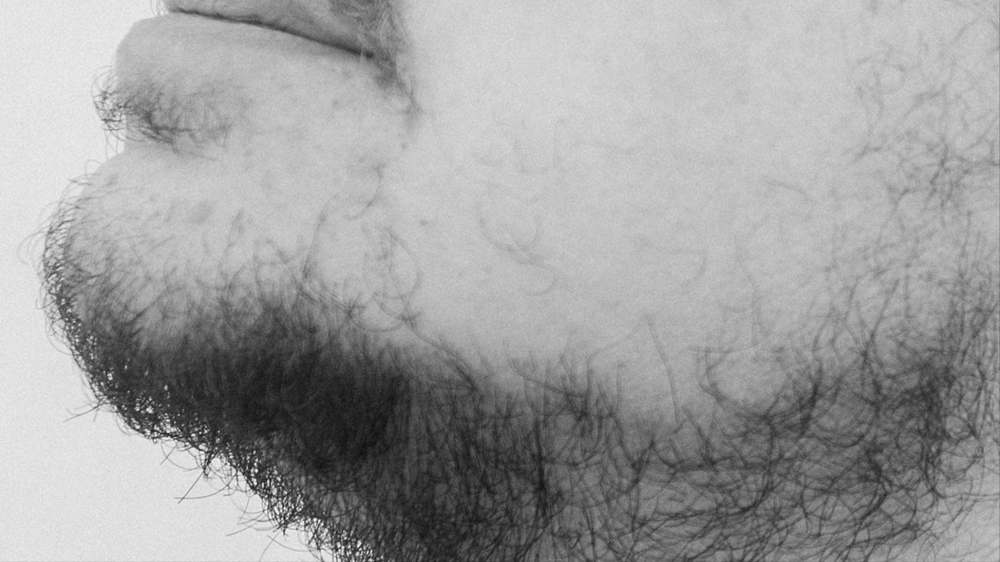 My Stupid Sad Quest To Grow A Beard Vice