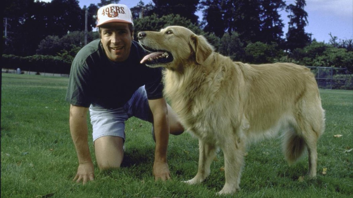 Petualanganku Mencari Makam Anjing Pemeran Utama Film Air Bud VICE