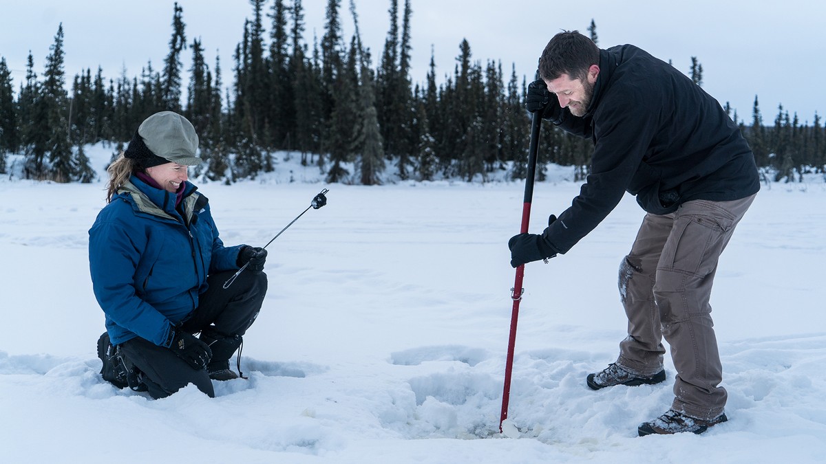 This climate pioneer has a crazy solution for keeping the Arctic frozen