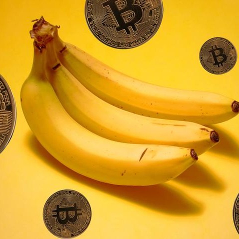 invertir en criptomonedas de banano la mejor criptografía para invertir en febrero de 2021 robô de escalpelamento forex