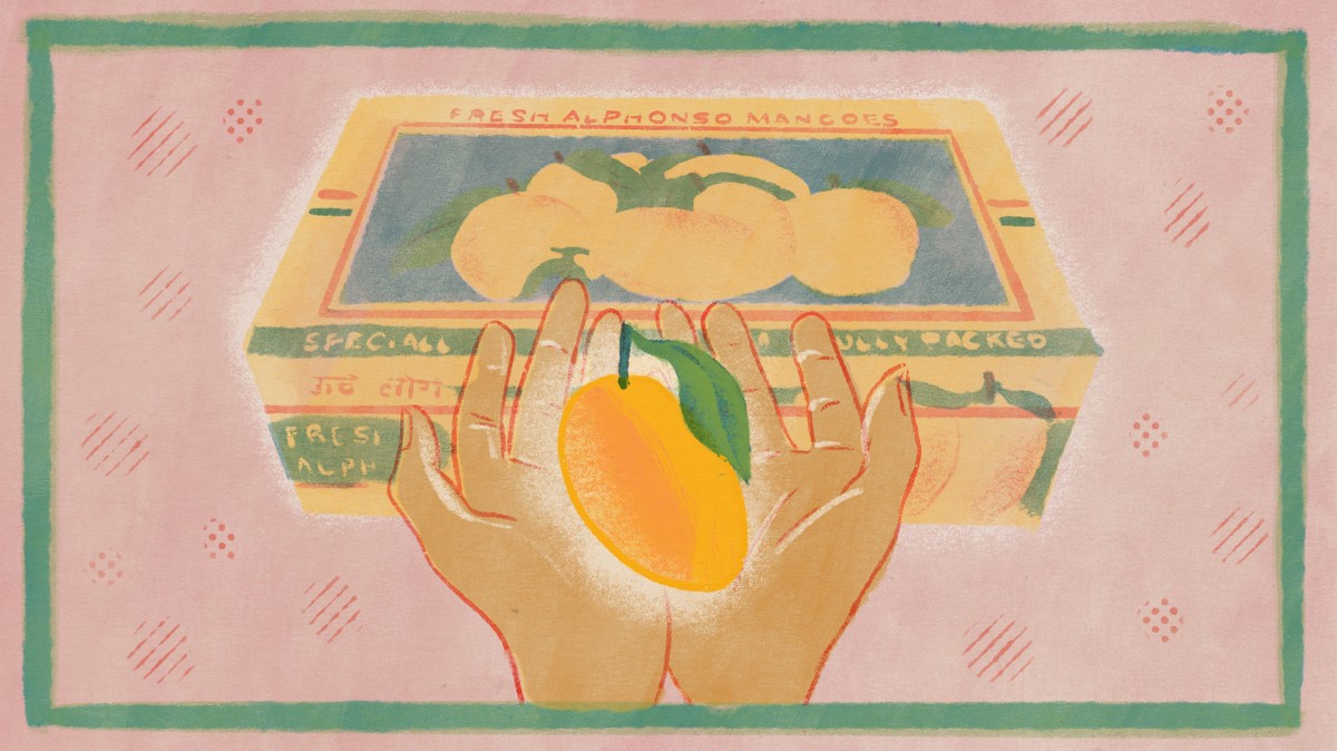 We Were Promised the World's Most Delicious Mangoes. They Never Came