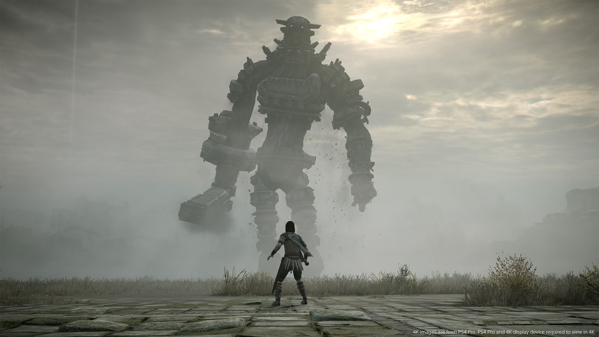 Shadow Of The Colossus Pc
