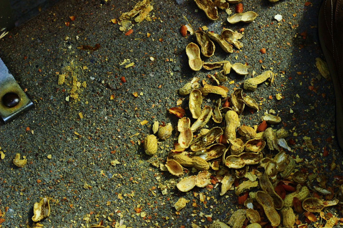 Woman Sues Restaurant After Falling on Peanut Shells Scattered All Over