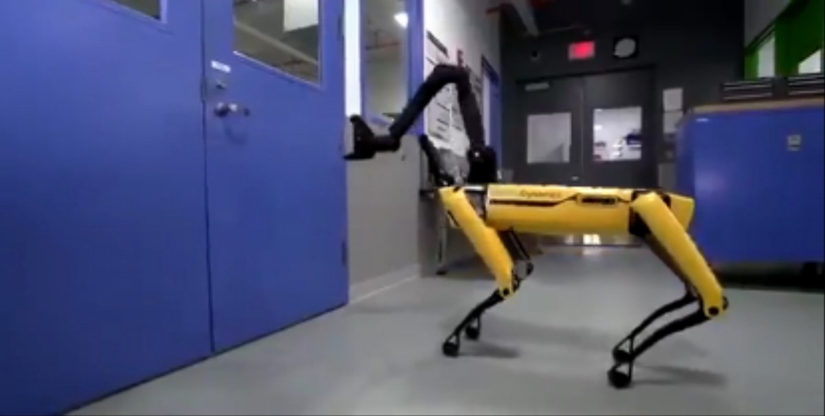 These Robot Dogs Are Absolutely the Beginning of the End VICE