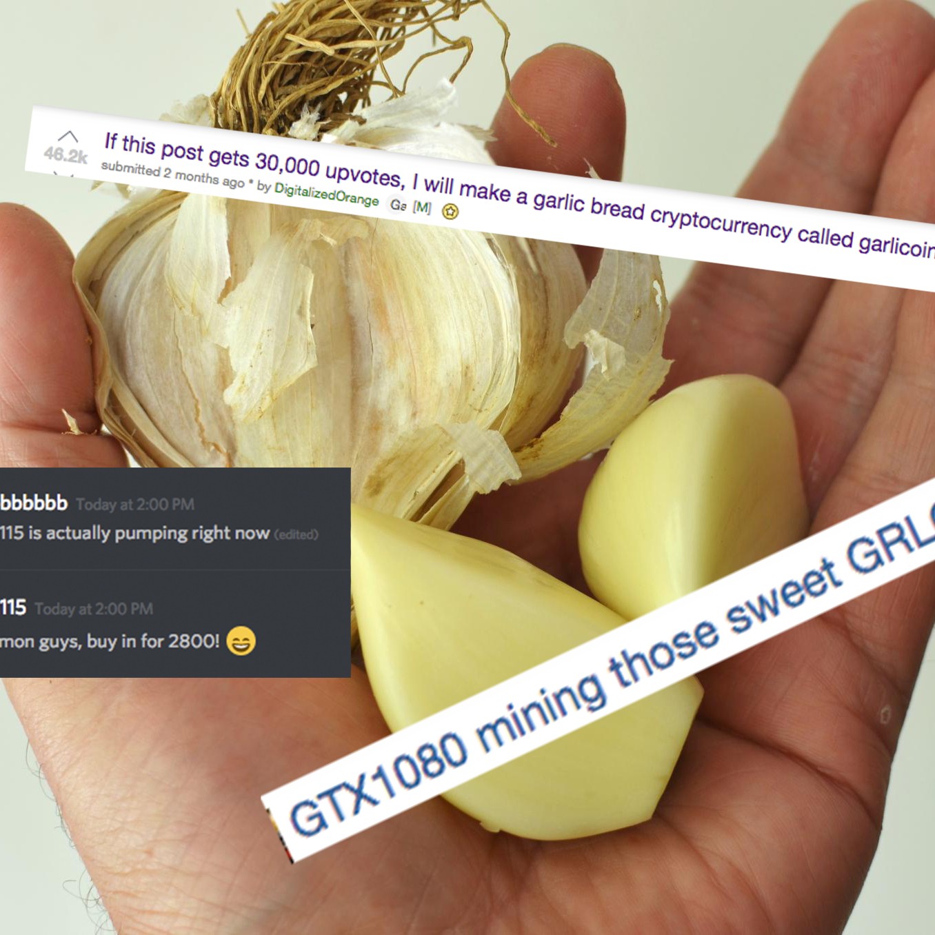 Garlic in cryptocurrency short odds betting strategy
