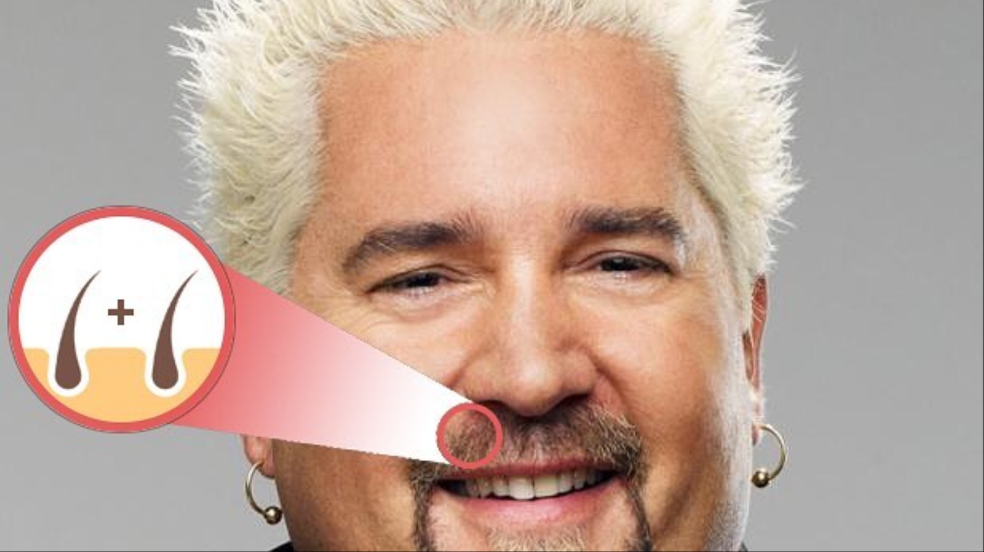 Incredible You Can Now Name Your Own Follicles Of Guy Fieri S