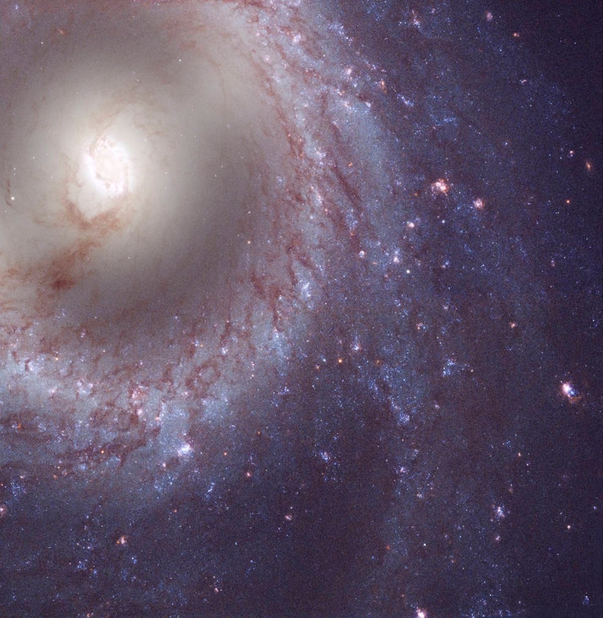 We Have 12 New Hubble Images of the Universe and It’s Looking Gorgeous