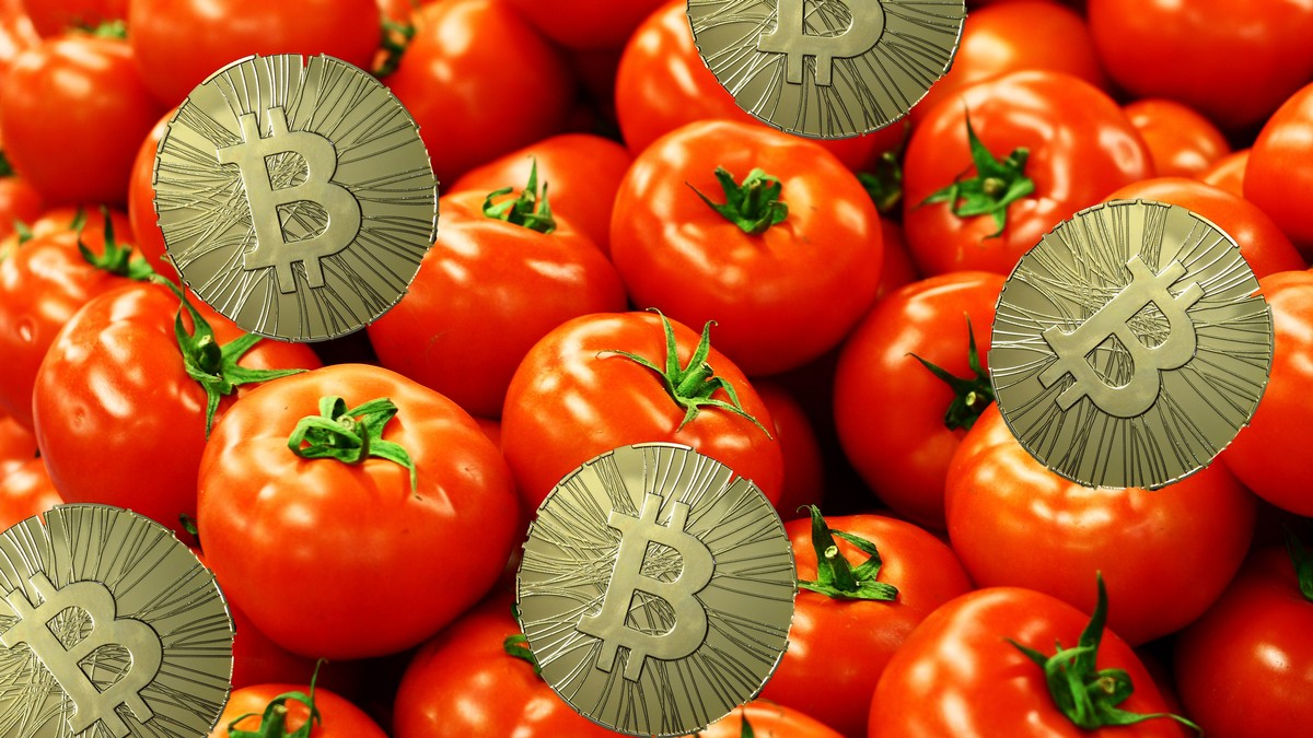 tomato coin crypto