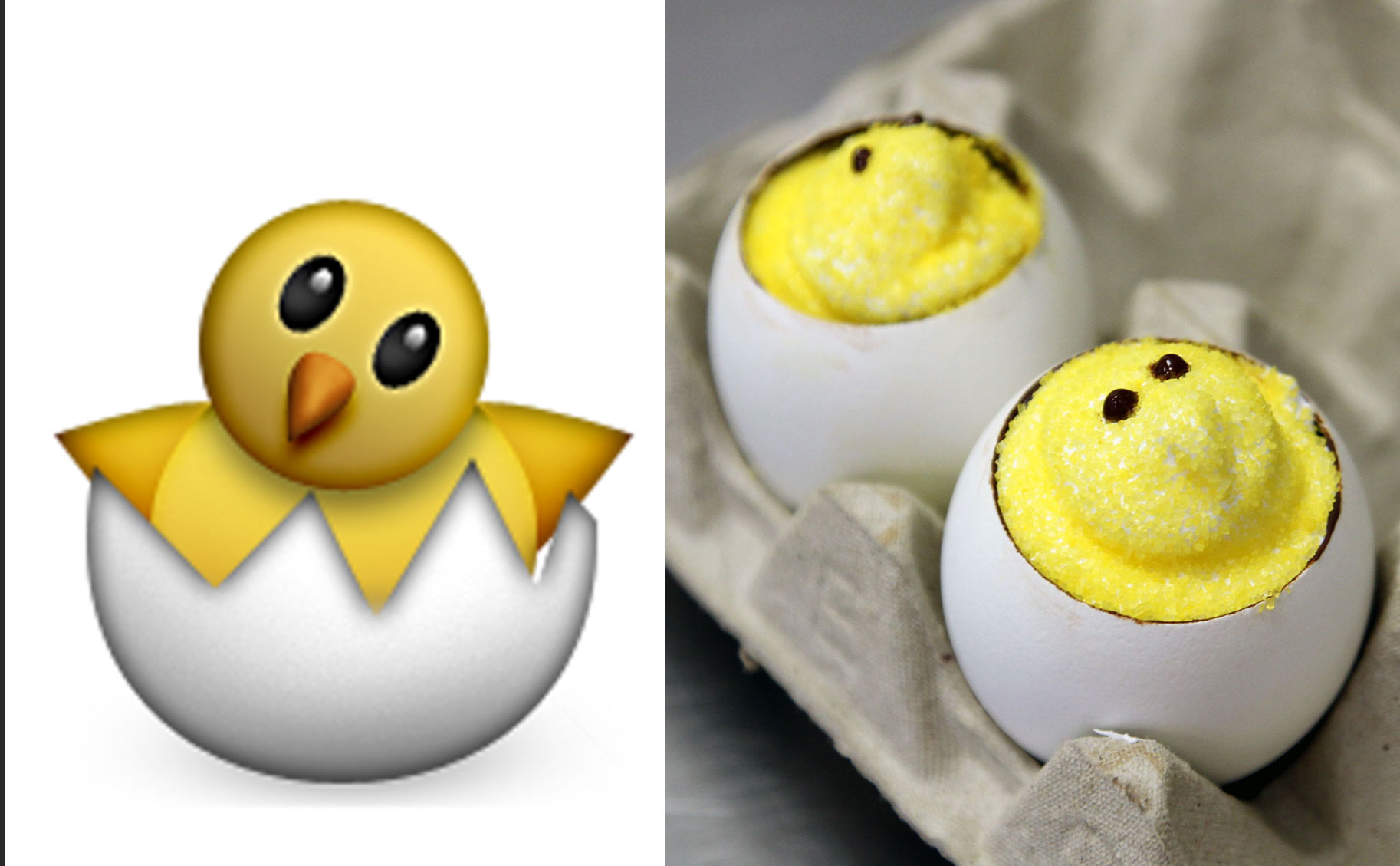 An Egg for Ansel by Amy Bellows An Egg for Ansel by Amy Bellows