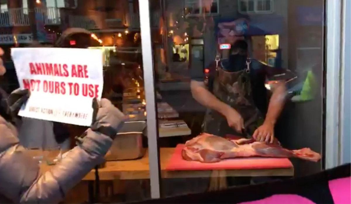 Toronto Chef Butchers Deer Eats Steak In Front Of Vegan Protesters Vice
