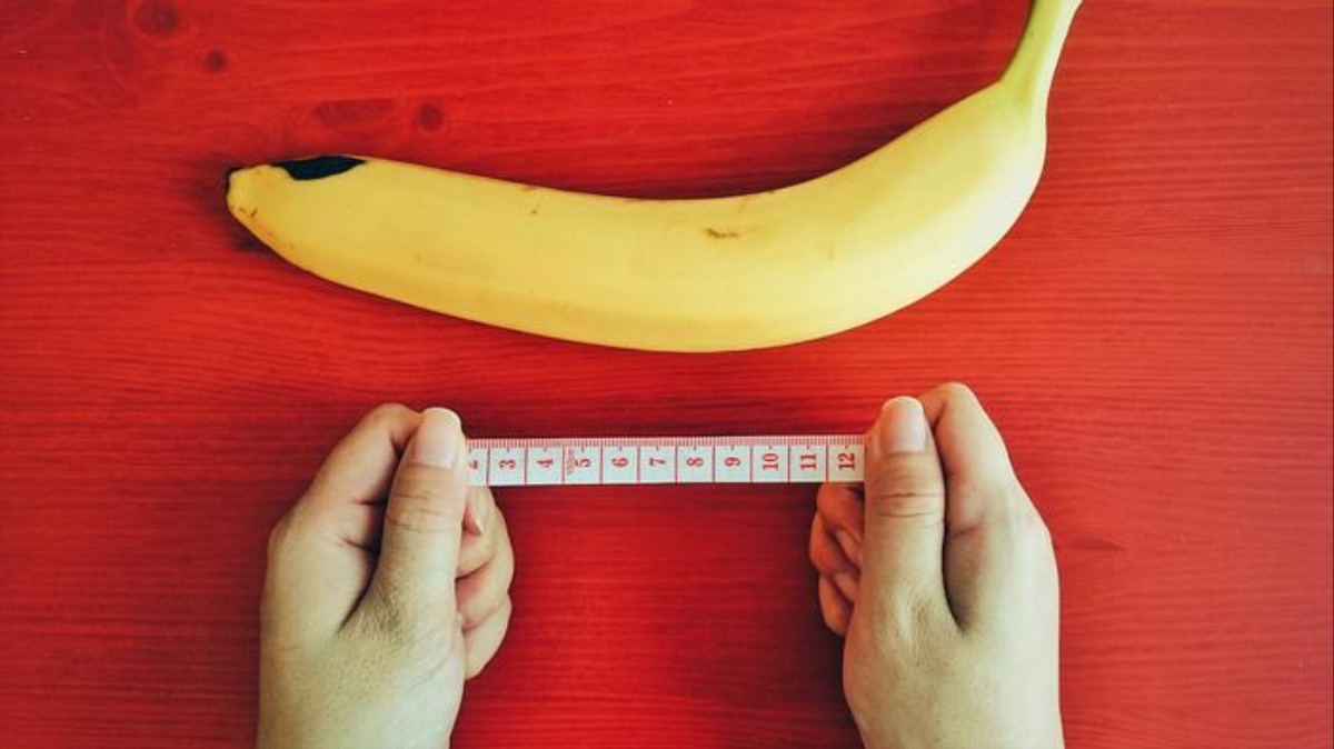 Cum se măsoară corect lungimea organului genital masculin