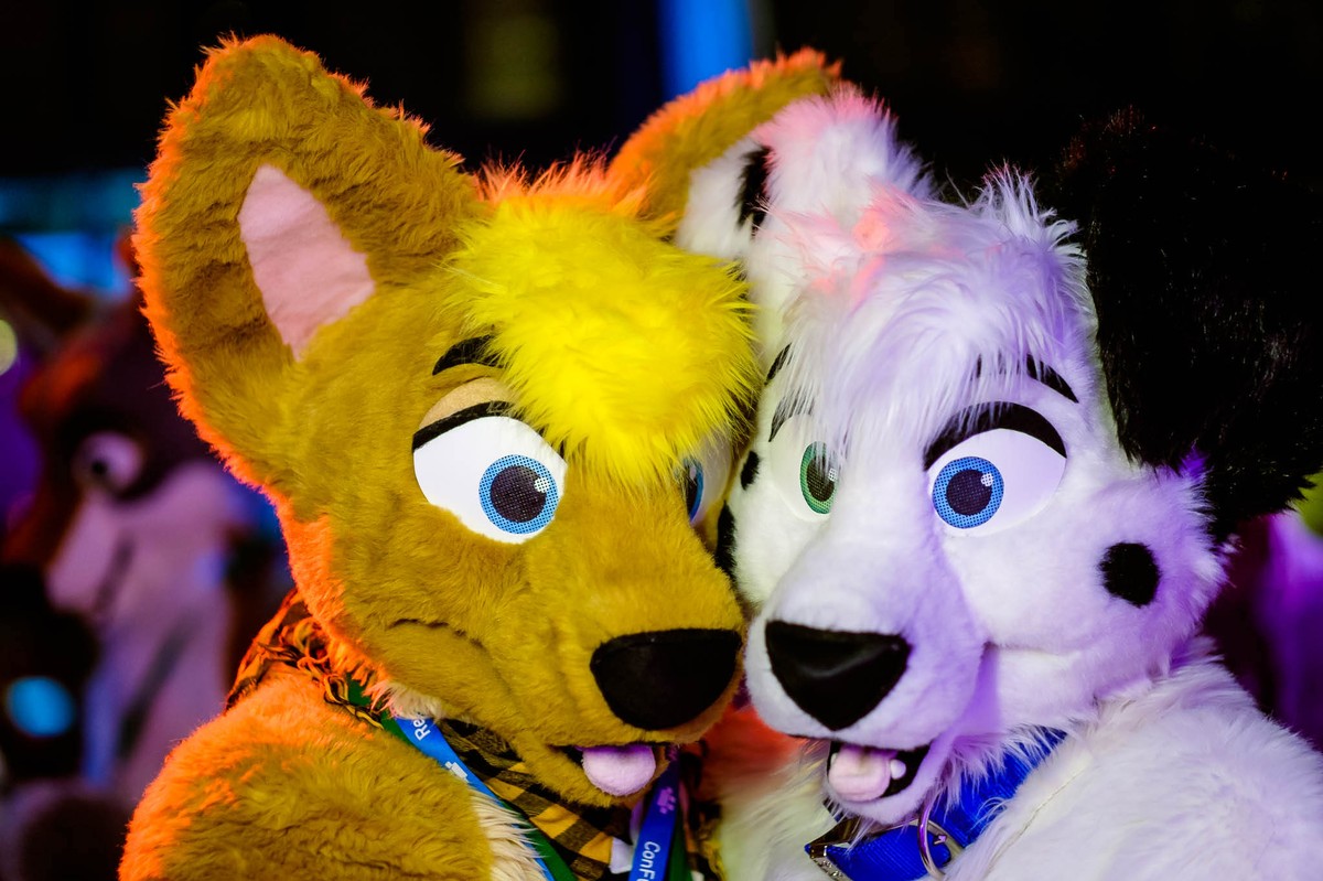 Furry Dating Site Shuts Down Because Of Fosta Motherboard
