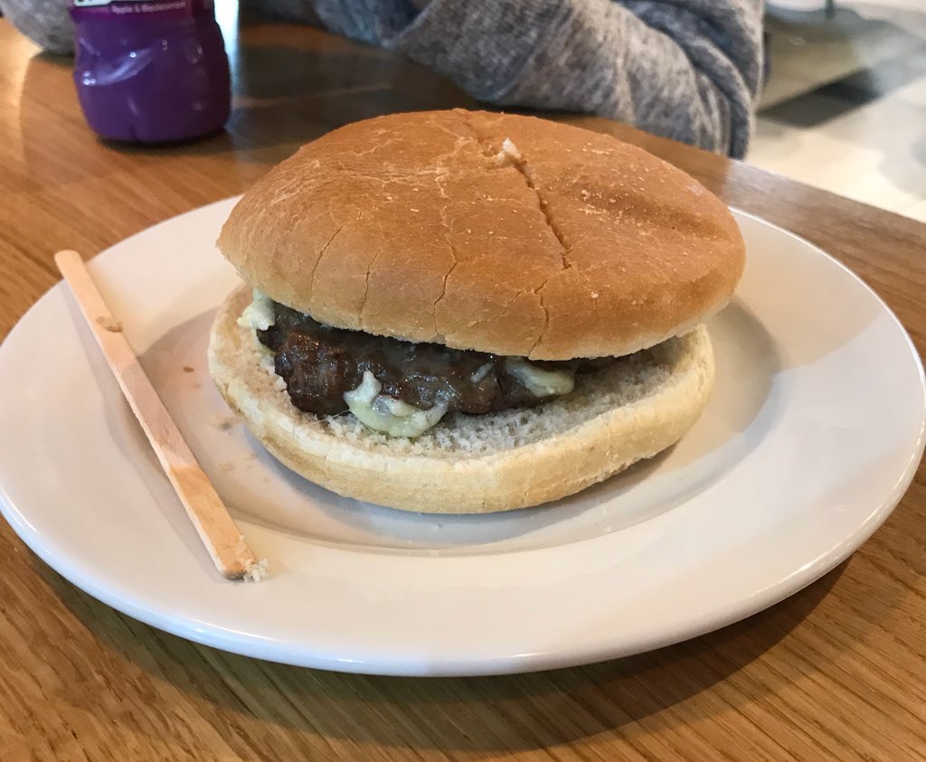 My Heart Aches for This Sad-Looking Airport Burger