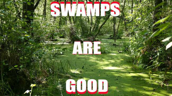 Image result for swamp biodiversity, trump cartoon
