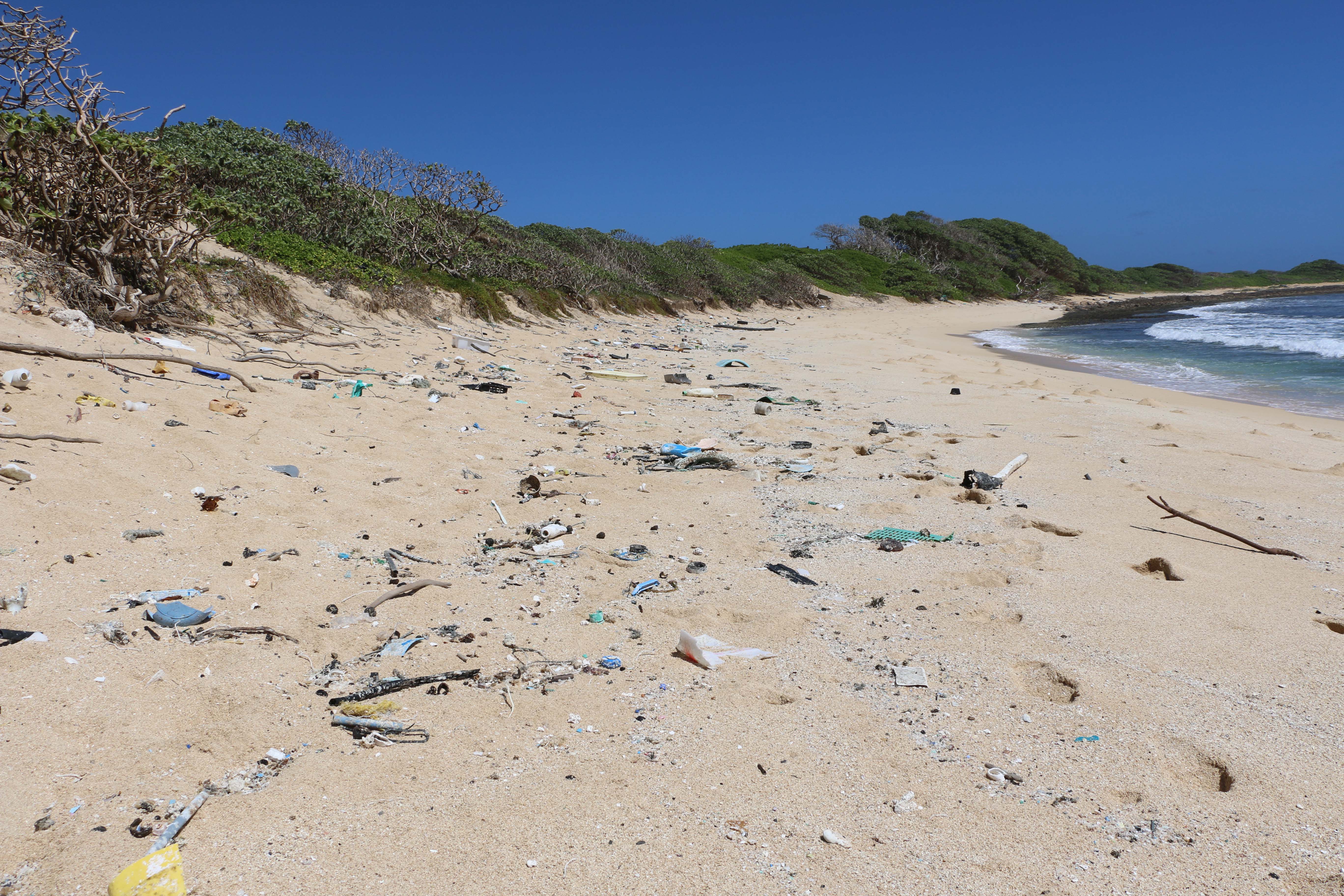 The Great Pacific Garbage Patch has grown to twice the size of Texas