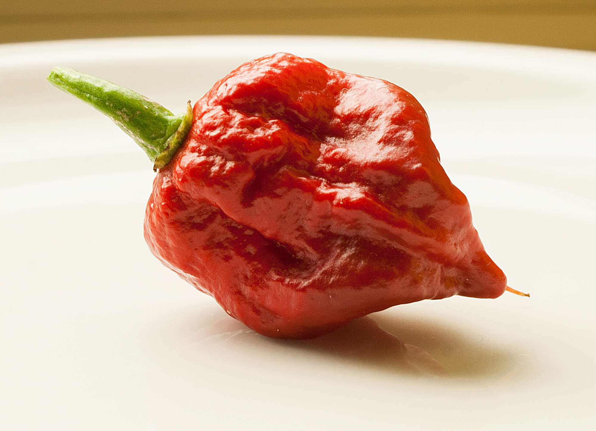 Deze gast moest naar het ziekenhuis door een hap van de heetste peper ter wereld Deze gast moest naar het ziekenhuis door een hap van de heetste peper ter wereld