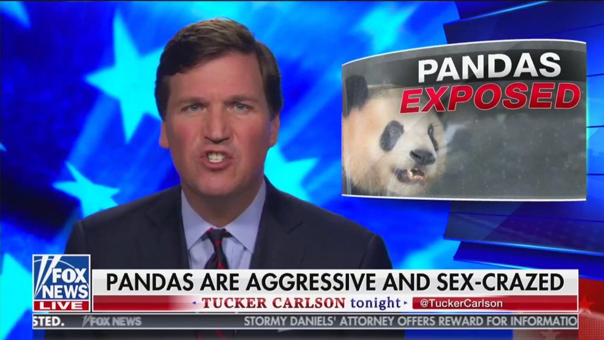 Tucker Carlson S Top News Story Sex Crazed Pandas Vice