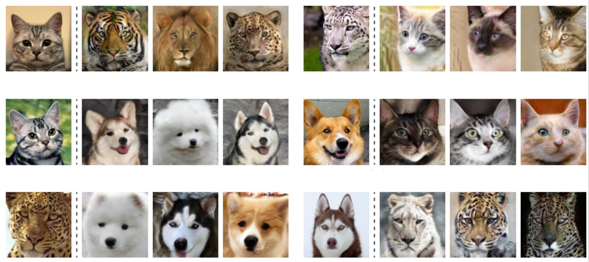 This AI Will Turn Your Dog Into a Cat
