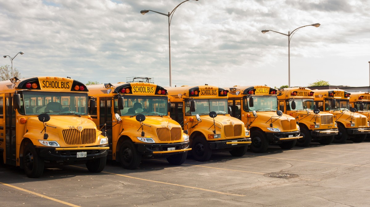 Electric School Buses Can Be Backup Batteries For the US Power Grid