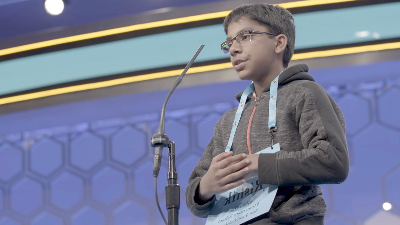 nyt spelling bee shunn nyt spelling bee shunn