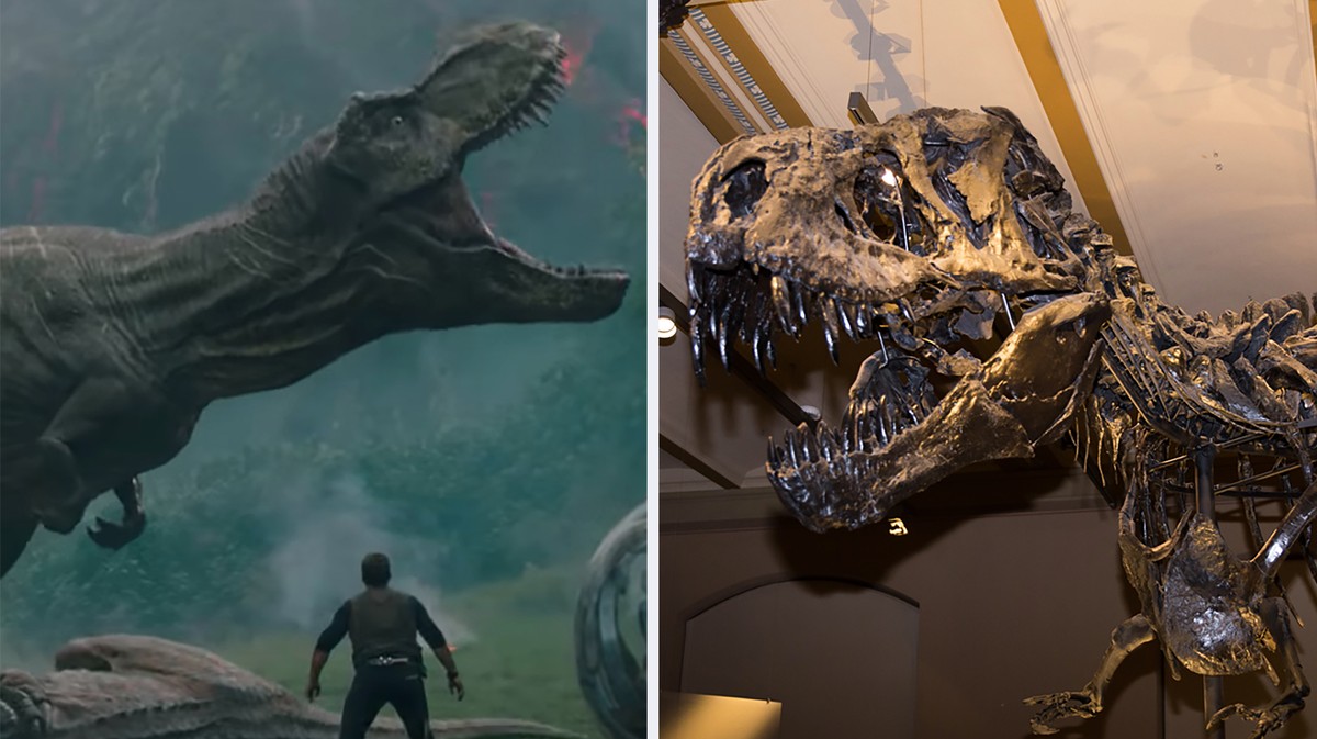 We Asked a Dinosaur Expert How Realistic the New 'Jurassic World' Really Is