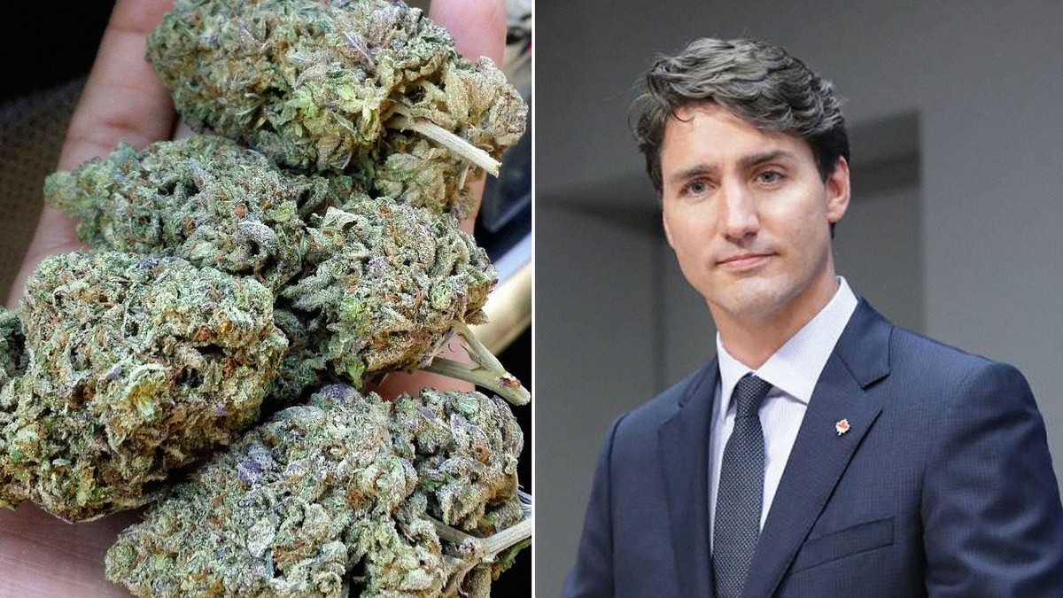 weed-will-be-legal-in-canada-on-october-17-vice