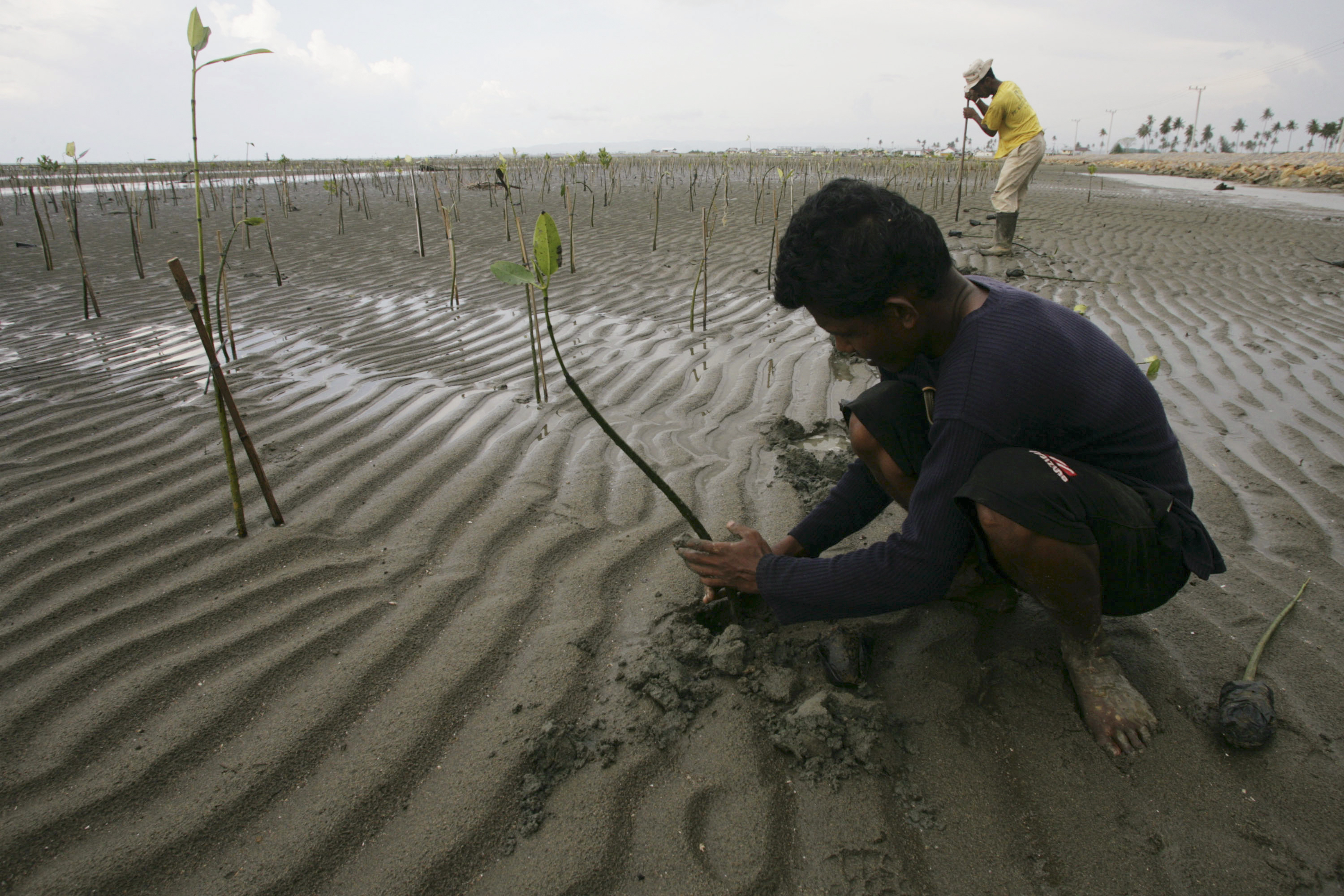 Global Warming Means More Rain In Indonesia