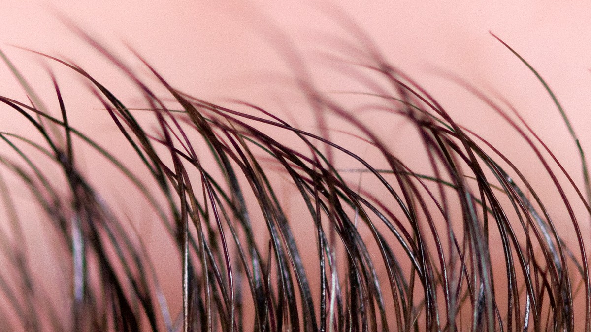 Here's How Gross it Is if You Find a Hair in Your Food Here's How Gross it Is if You Find a Hair in Your Food