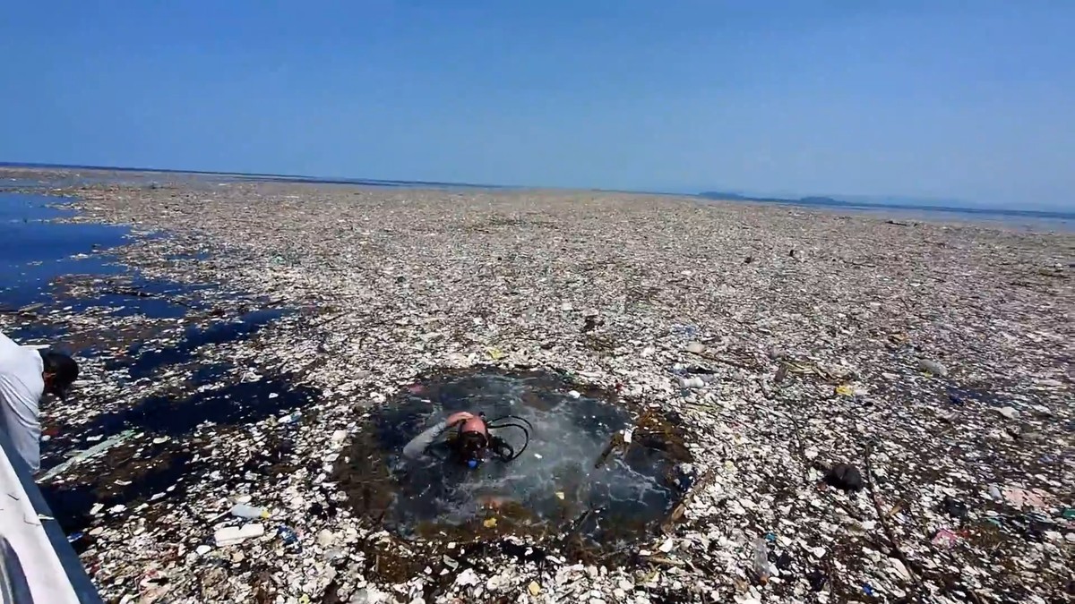 Остров из мусора тихий океан Спутник