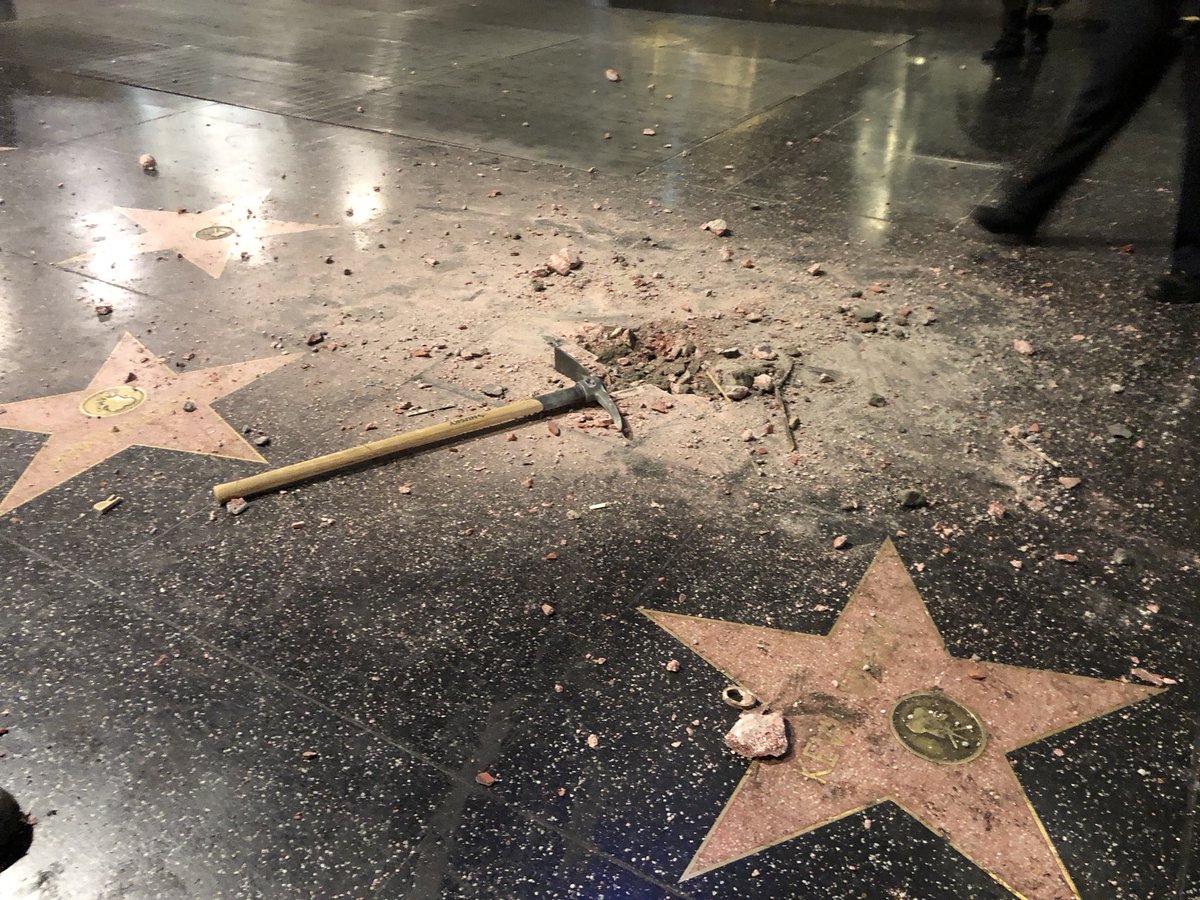Image result for trump hollywood star