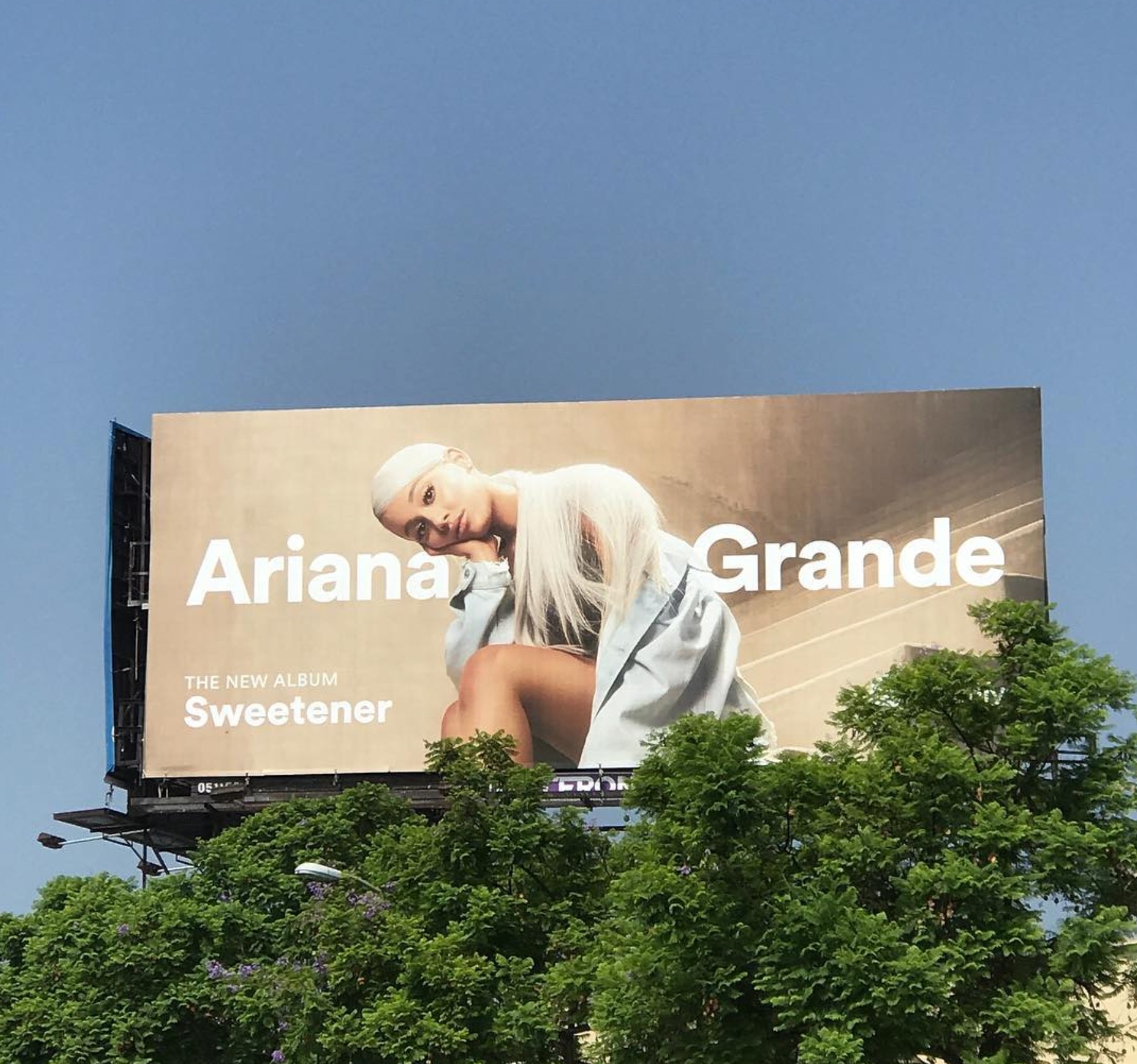 Ariana Grande Bubble Porn - Ariana Grande's new album 'thank u, next' is like therapy