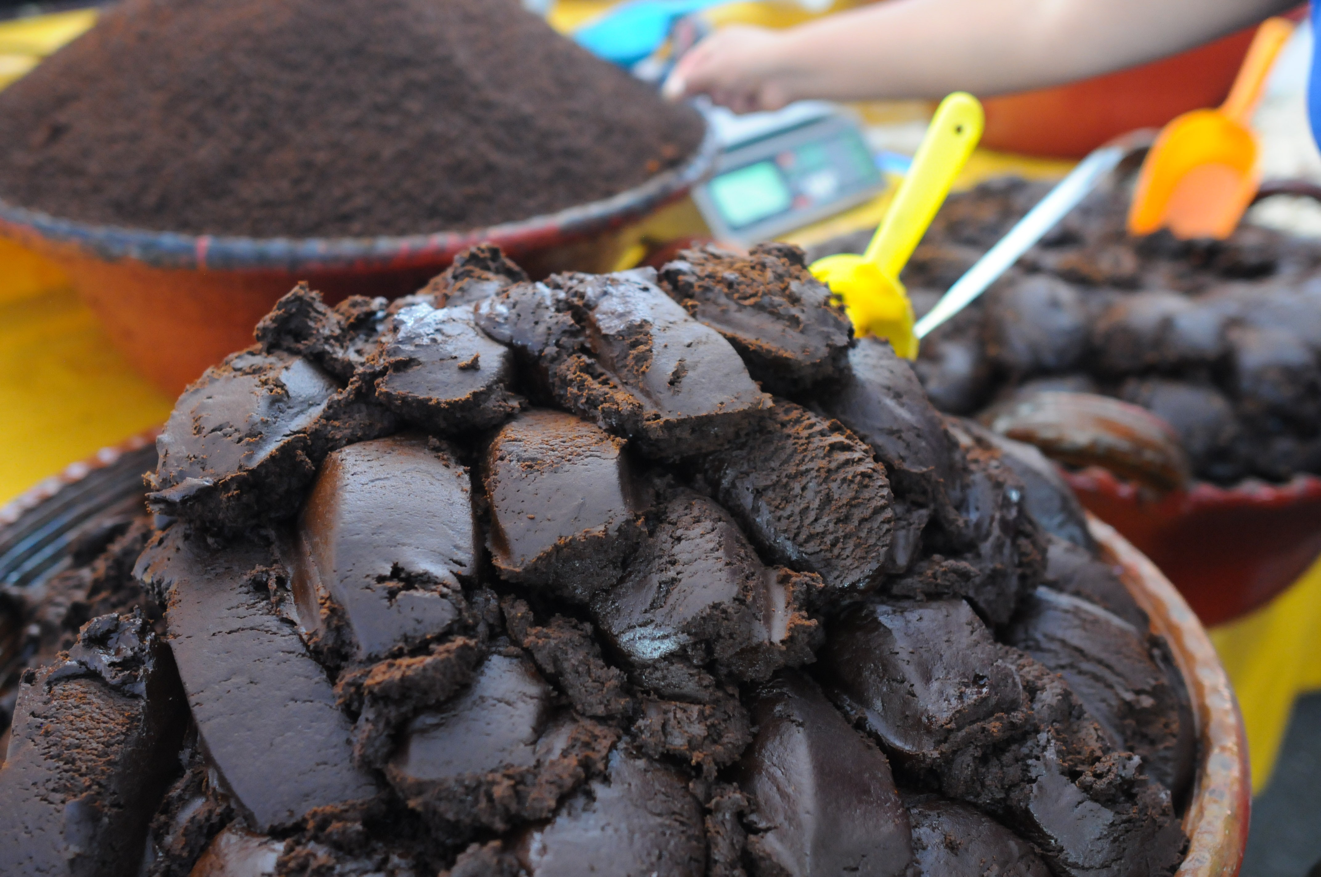 El mole negro mexicano podría estar al borde de la extinción