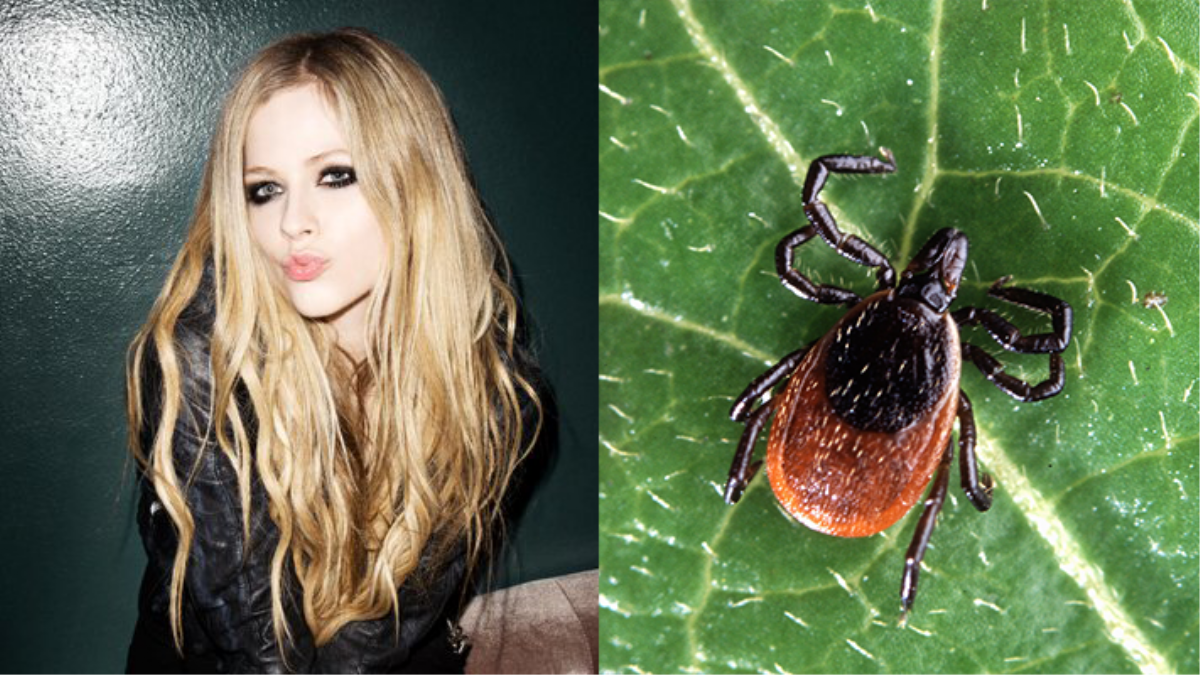 Avril Lavigne Says She Accepted Death During Battle With Lyme Disease 
