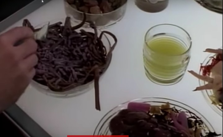 Food From Star Trek That Is A Klingon Delicacy Why Trekkies Are So Obsessed with Making a Disgusting Klingon Dish